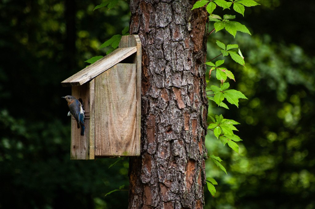 The Yard Big&nbsp;Day