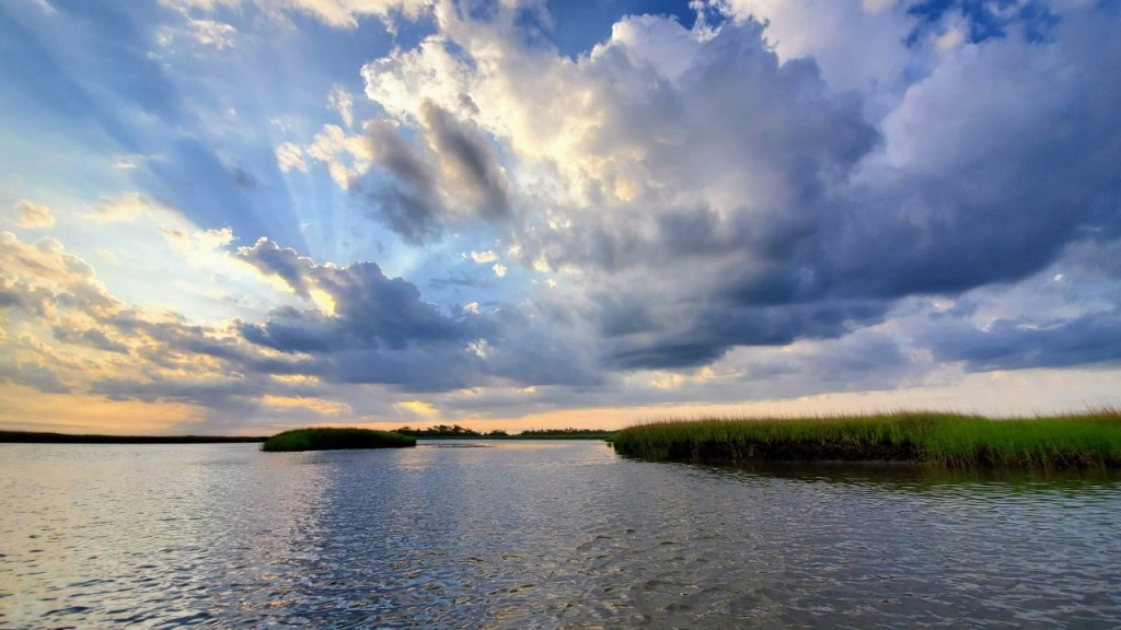 Finding Hope in the&nbsp;Lowcountry