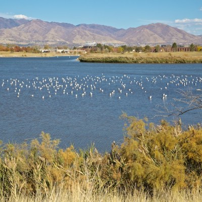 Compounding Impacts of Community&nbsp;Clean-Ups